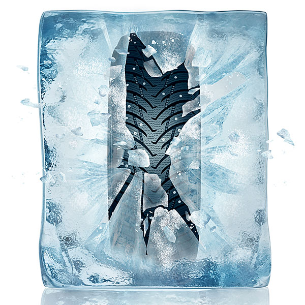 225/50R17 98T NANKANG SW-8 ICE ACTIVA XL